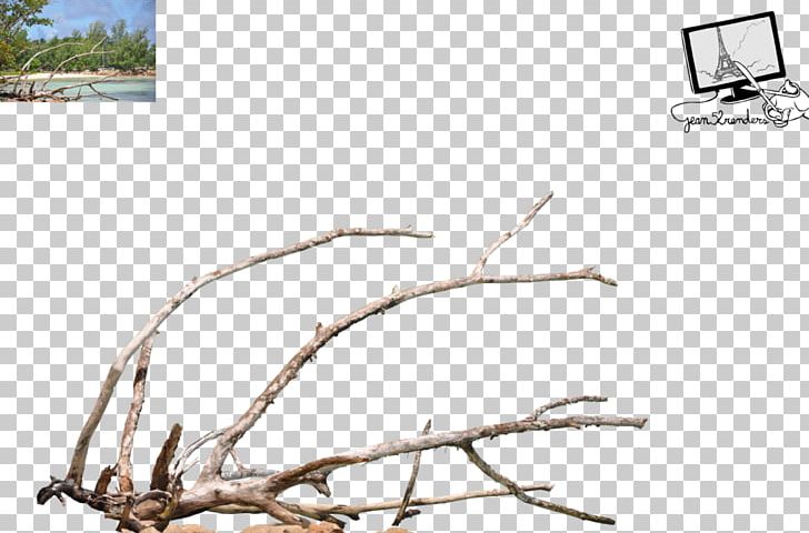 Branch Tree Death Twig PNG, Clipart, Art, Branch, Death, Deviantart, Ecosystem Free PNG Download