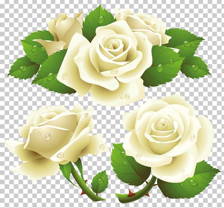 Rose White PNG, Clipart, Computer Icons, Cut Flowers, Desktop Wallpaper, Drawing, Floral Design Free PNG Download