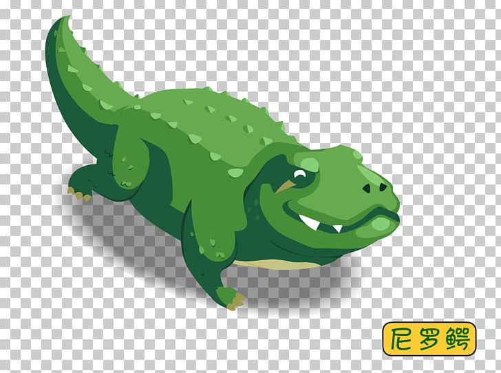 Crocodiles Early Childhood Education Illustration PNG, Clipart, Animals, Childhood, Croc, Crocodile, Early Childhood Education Free PNG Download