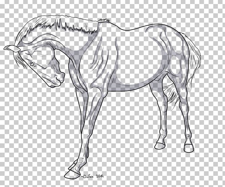 Mustang Arabian Horse Stallion Line Art American Quarter Horse PNG, Clipart, Animal Figure, Arm, Art, Artwork, Bit Free PNG Download