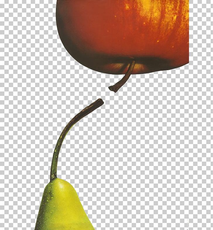 Poster Graphic Design Fruit PNG, Clipart, Advertising, Apple, Apple Fruit, Apple Logo, Apples Free PNG Download