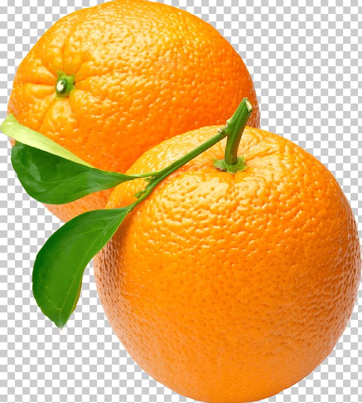 Two Oranges PNG, Clipart, Food, Fruits, Oranges Free PNG Download