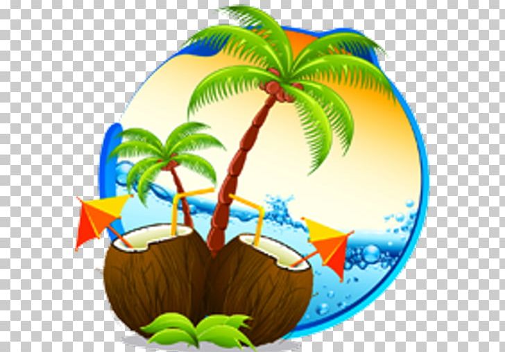 Leaf Others Palm Tree PNG, Clipart, Apk, Arecaceae, Arecales, Cartoon, Coconut Free PNG Download
