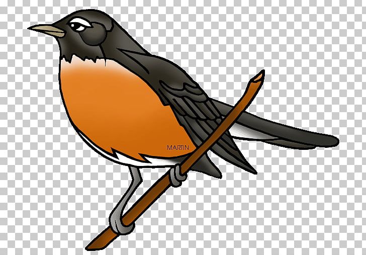 European Robin American Robin YouTube PNG, Clipart, American Robin, Art, Beak, Bird, Blog Free PNG Download