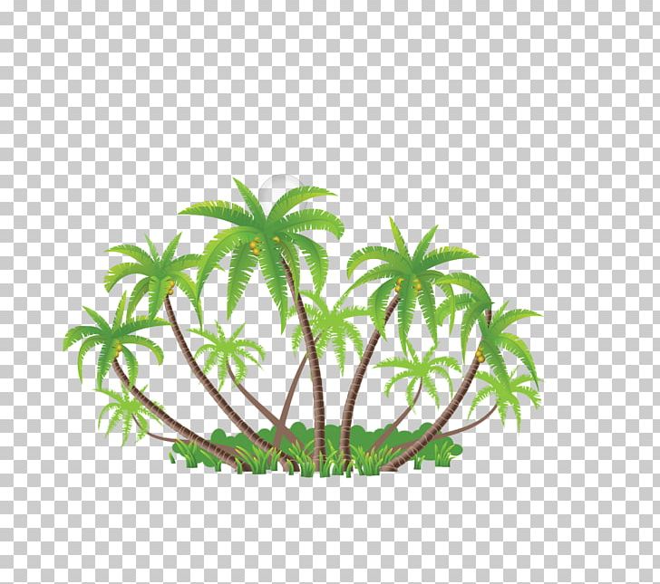 Coconut Arecaceae Euclidean Illustration PNG, Clipart, Background Green, Branch, Circle, Coconut Tree, Flower Free PNG Download