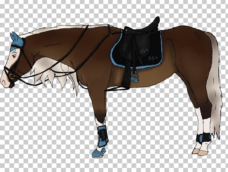 Hunt Seat Bridle Mane Rein Horse Harnesses PNG, Clipart, Bridle, English Riding, Equestrian, Equestrianism, Equestrian Sport Free PNG Download