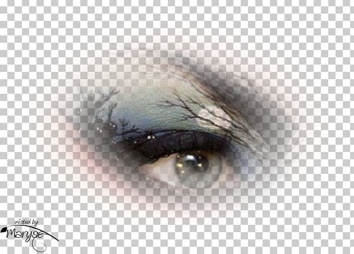 Portrait Eye Painting Photography PNG, Clipart, Bayan, Black And White, Closeup, Eye, Eyebrow Free PNG Download