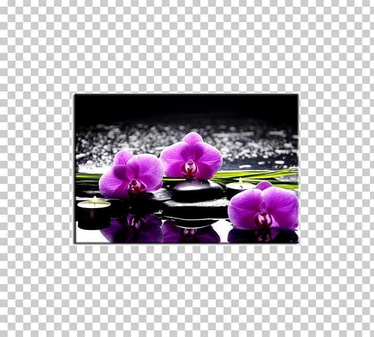 Painting Orchis Orchidea Flower Orchids PNG, Clipart, Art, Bathroom, Canvas, Drawing Room, Flower Free PNG Download