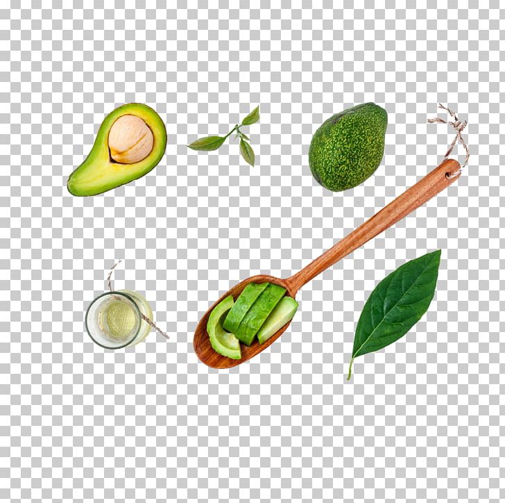 Smoothie Avocado Oil Food Nutrition PNG, Clipart, Avocado, Avocado Oil, Bread, Christmas Decoration, Cuisine Free PNG Download