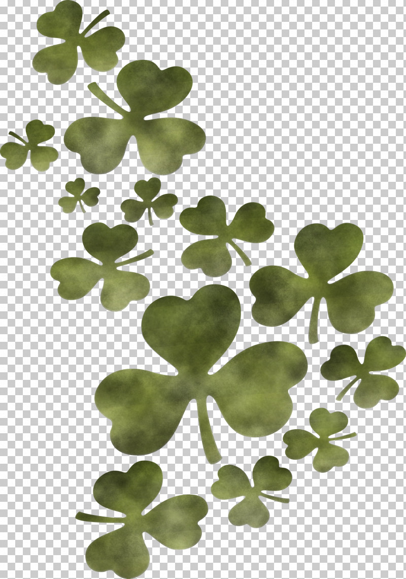 St Patricks Day Saint Patrick PNG, Clipart, Biology, Green, Leaf, Petal, Plants Free PNG Download