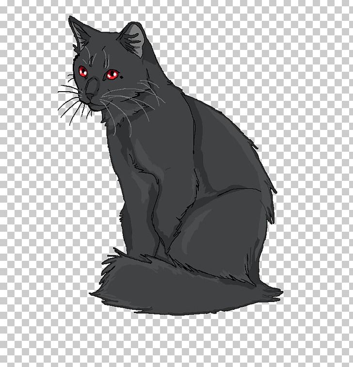 Korat Black Cat Whiskers Domestic Short-haired Cat Dog PNG, Clipart, Animals, Black, Black Cat, Black M, Canidae Free PNG Download