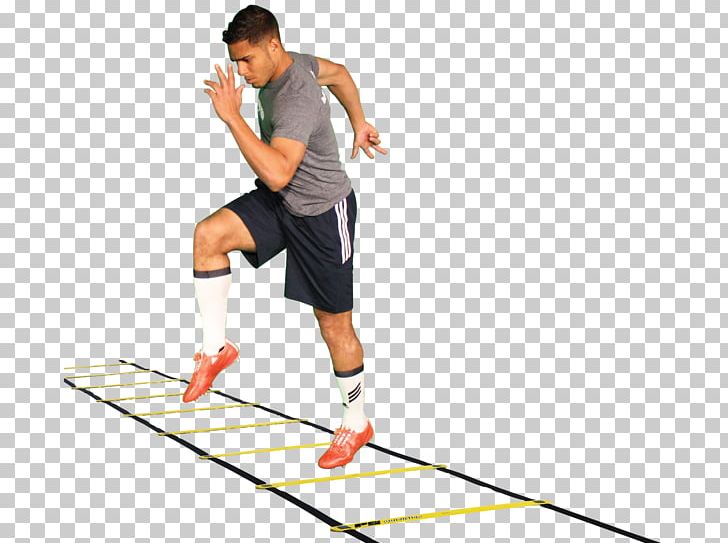 Agility Exercise Ladder Sport Skill PNG, Clipart, Agility, Arm, Balance, Boxing, Coaching Free PNG Download