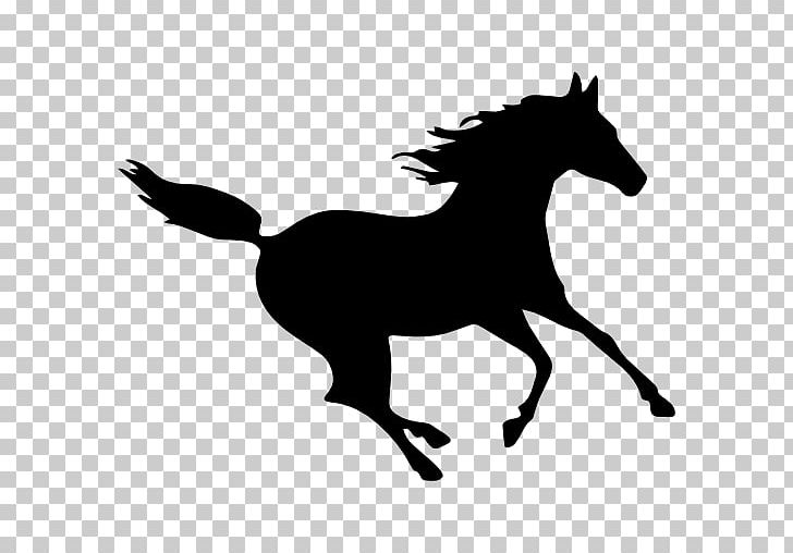 American Quarter Horse Gallop Silhouette PNG, Clipart, Animal, Animals, Canter And Gallop, Colt, Computer Icons Free PNG Download