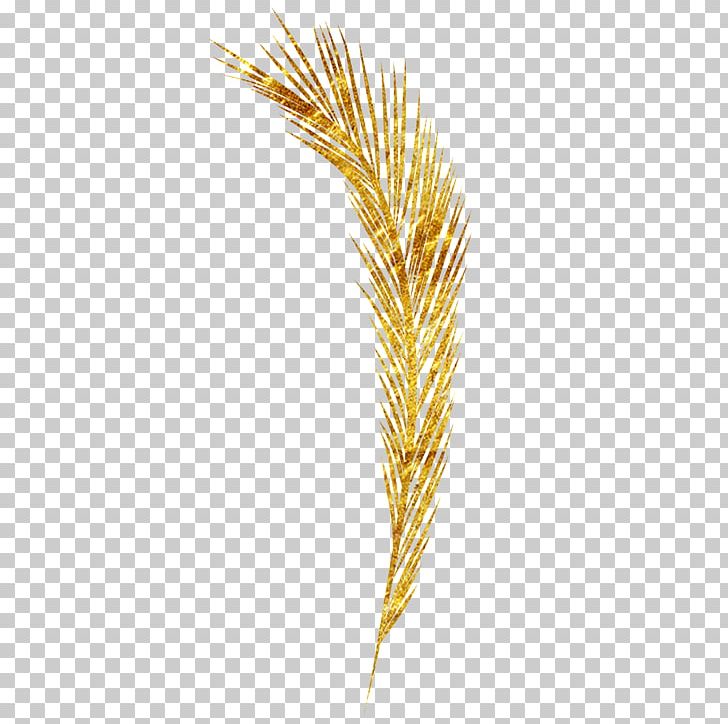 Emmer Pattern PNG, Clipart, Cartoon Wheat, Commodity, Emmer, Feather, Food Grain Free PNG Download