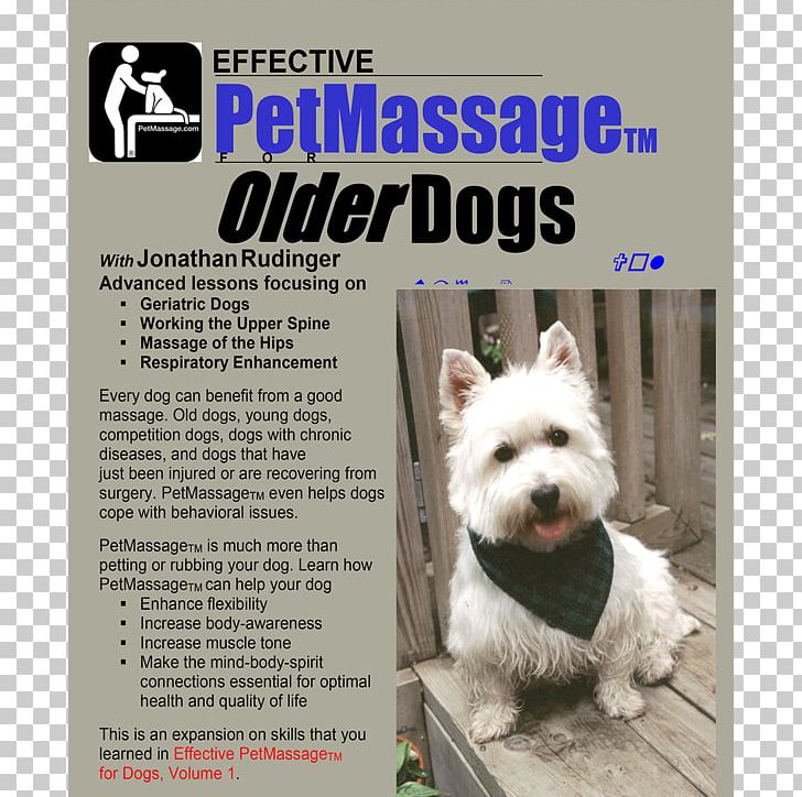 West Highland White Terrier Puppy Canine Massage Dog Breed PNG, Clipart, Advertising, Canine Massage, Carnivoran, Companion Dog, Dog Free PNG Download