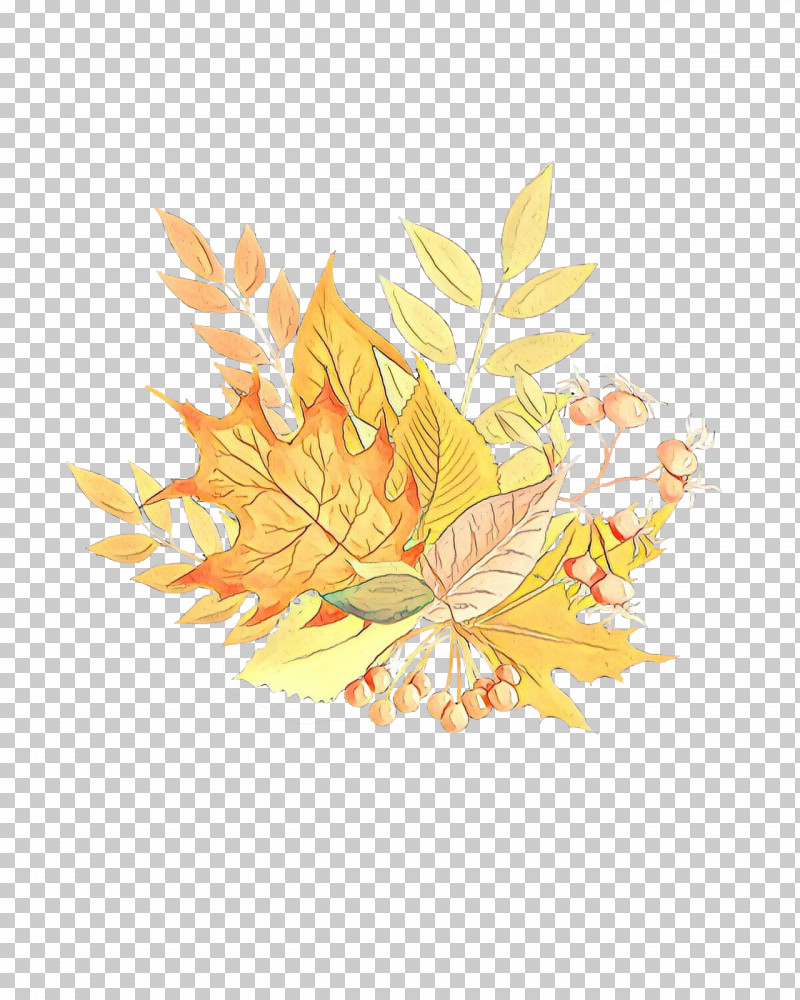 Maple Leaf PNG, Clipart, Leaf, Maple Leaf, Orange, Plane, Plant Free PNG Download