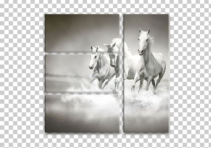 Arabian Horse Wall Decal Paper Decorative Arts PNG, Clipart, Bedroom, Black, Black And White, Canvas Print, Decorative Arts Free PNG Download