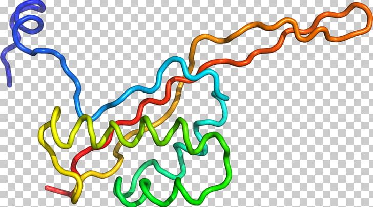 Organism Line PNG, Clipart, Area, Art, Artwork, Line, Organism Free PNG Download