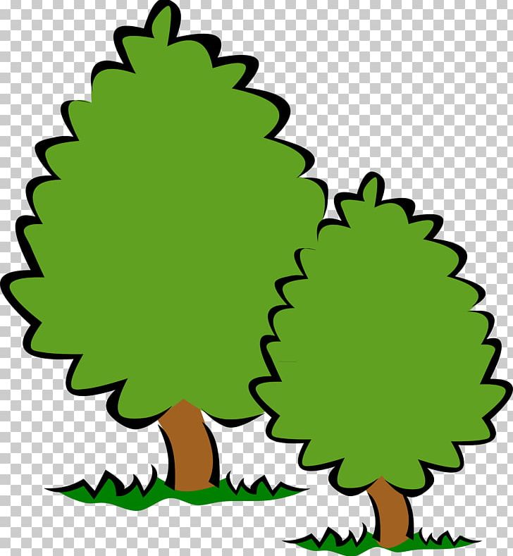 Tree Shrub PNG, Clipart, Area, Artwork, Beak, Branch, Color Free PNG Download