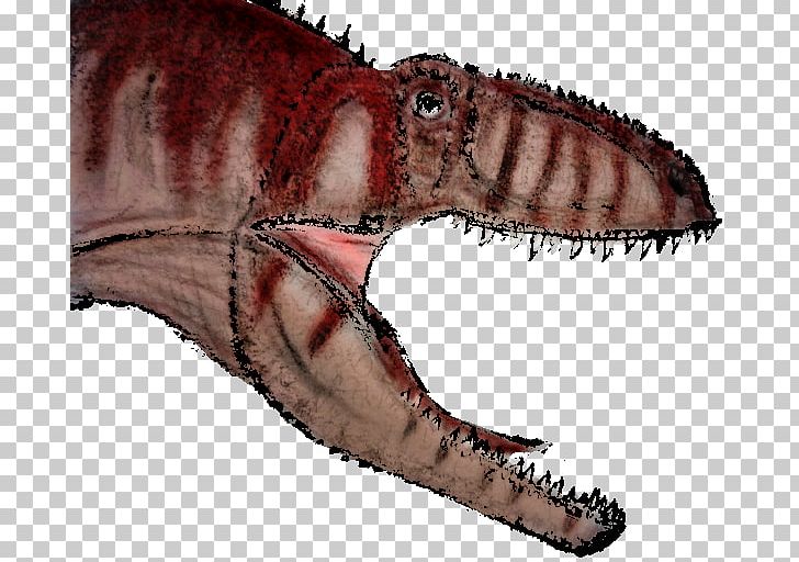 Tyrannosaurus Giganotosaurus Carcharodontosaurus Spinosaurus Dinosaur PNG, Clipart, Art, Carcharodontosaurus, Deviantart, Digital Art, Dinosaur Free PNG Download