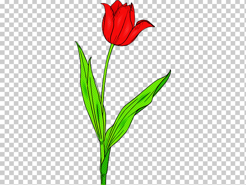 Floral Design PNG, Clipart, Cut Flowers, Floral Design, Flower, Lily, Pedicel Free PNG Download