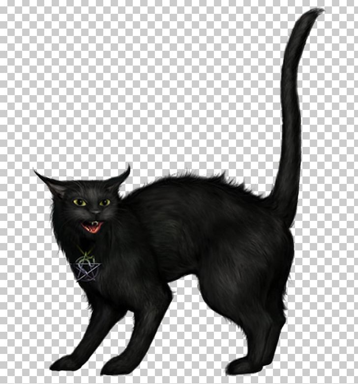 Black Cat Halloween PNG, Clipart, Black Cat, Bombay, Carnivoran, Cat, Cat Like Mammal Free PNG Download