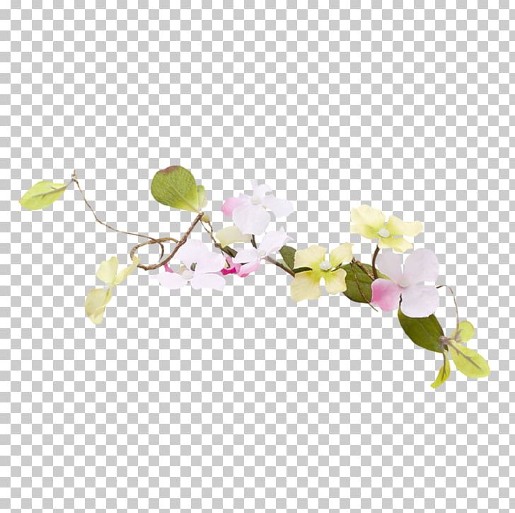 Easter Flower ST.AU.150 MIN.V.UNC.NR AD Floral Design Moth Orchids PNG, Clipart, Blossom, Branch, Cherry Blossom, Easter, Flora Free PNG Download