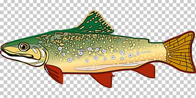 Fish Fish Brown Trout Trout Cutthroat Trout PNG, Clipart, Bonyfish, Brown Trout, Cutthroat Trout, Fish, Fish Products Free PNG Download