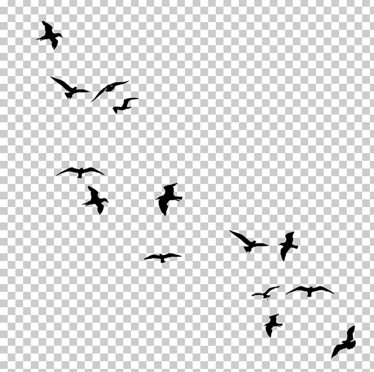 Bird Flight Drawing Silhouette PNG, Clipart, Animal Migration, Animals, Beak, Bird, Bird Flight Free PNG Download
