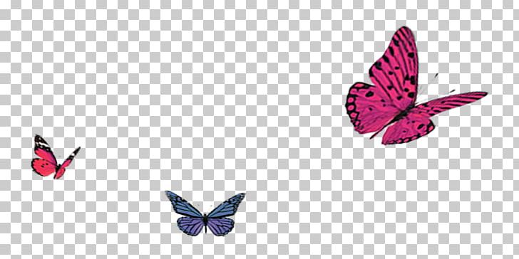 Butterfly Autumn PNG, Clipart, Autumn, Blue, Blue Butterfly, Butterflies, Butterfly Free PNG Download