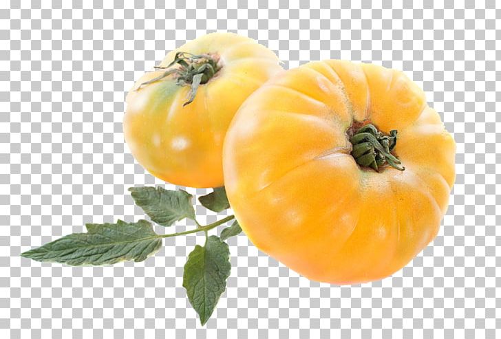 Cherry Tomato Vegetable PrimFruits Pineapple PNG, Clipart, Food, Fruit, Fruits Et Lxe9gumes, Local Food, Natural Foods Free PNG Download