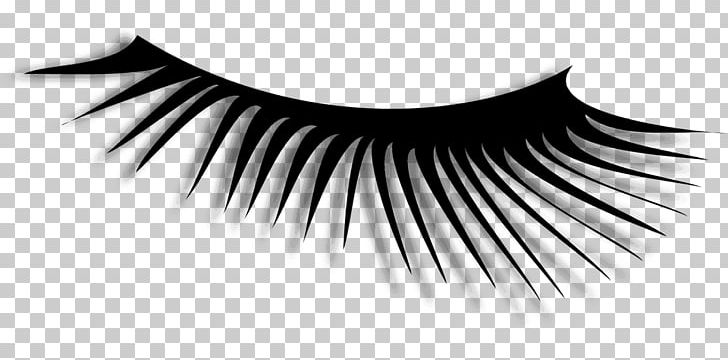 Eyelash Extensions PNG, Clipart, Artificial Hair Integrations, Beauty, Black And White, Cosmetics, Desktop Wallpaper Free PNG Download