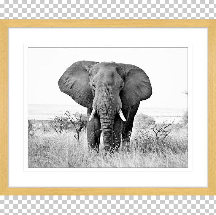 Indian Elephant African Bush Elephant Elephantidae Wildlife Animal-made Art PNG, Clipart, African Elephant, Animal, Animalmade Art, Art, Asian Elephant Free PNG Download