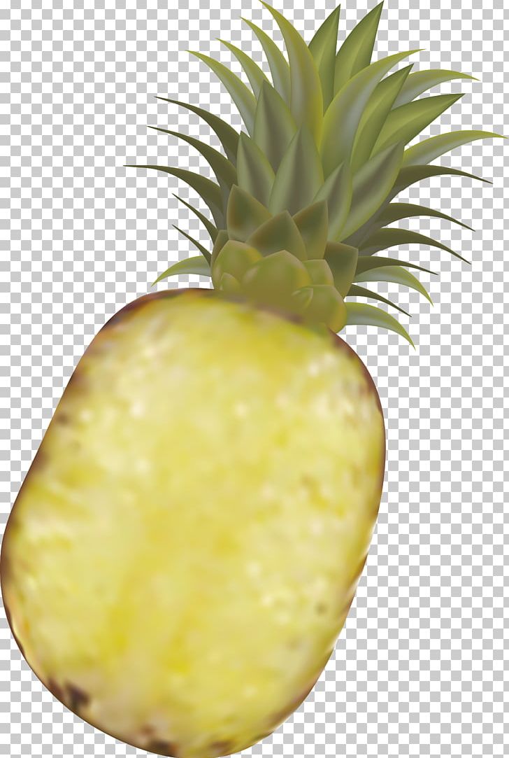 Pineapple Fruit PNG, Clipart, Cartoon, Cut Pineapple, Download, Drawing, Euclidean Vector Free PNG Download