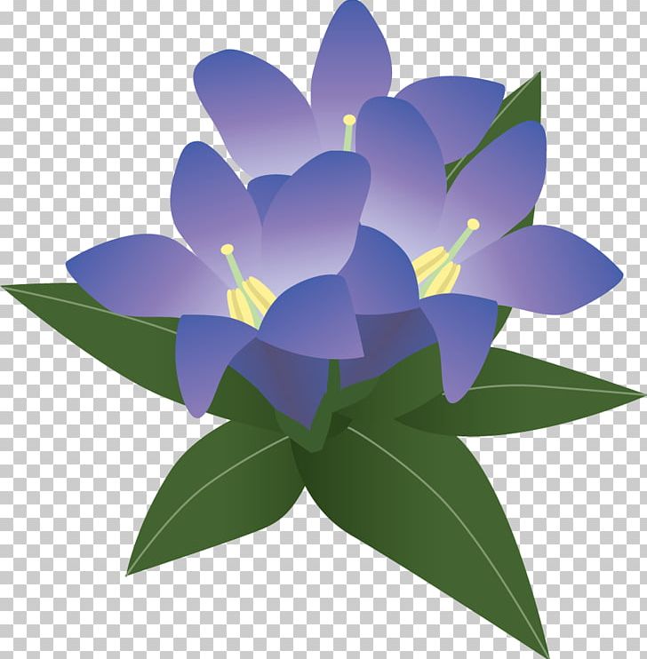 Purple Illustration PNG, Clipart, Blue, Color, Computer Wallpaper, Floral, Flower Free PNG Download