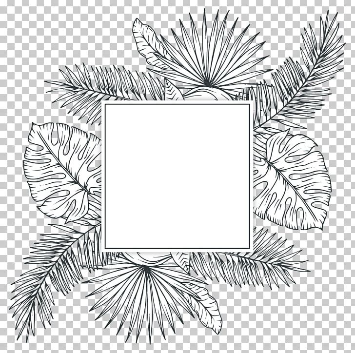 Tropics Plant Sketch PNG, Clipart, Arecaceae, Black And White, Branch, Circle, Drawing Free PNG Download