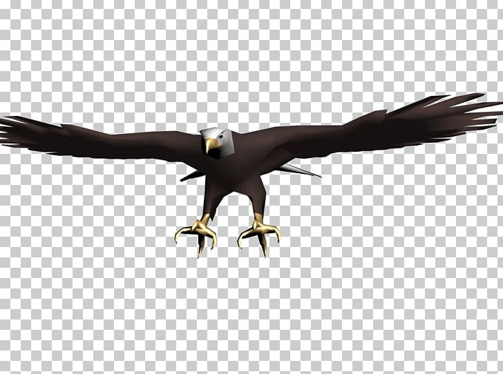 Eagle Black Hawk PNG, Clipart, Accipitriformes, Animals, Bald Eagle, Beak, Bird Free PNG Download