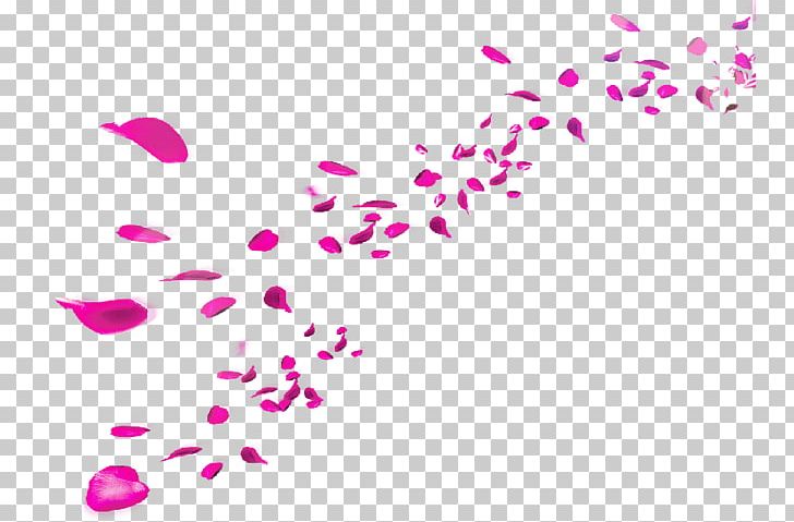 Petal Editing PNG, Clipart, Alpha Compositing, Circle, Download, Editing, Fall Free PNG Download