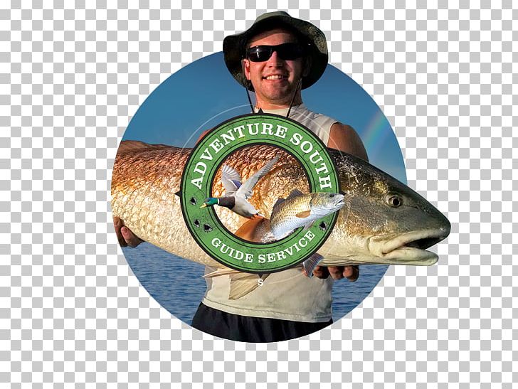 Anglerfish Fishing Marketing Web Design PNG, Clipart, Amount, Anglerfish, Animals, Fish, Fishing Free PNG Download