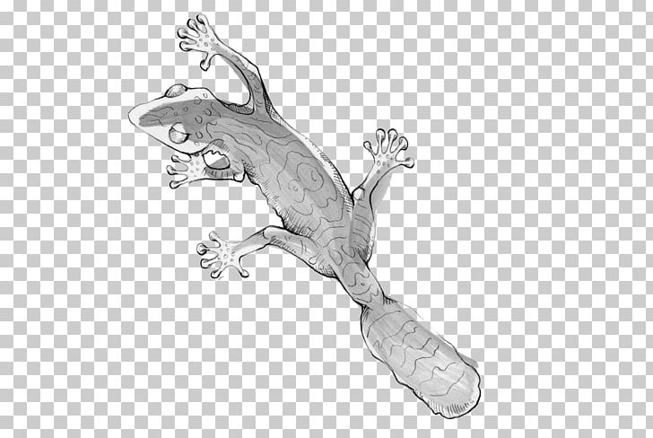 Frog Reptile Body Jewellery White Tail PNG, Clipart, Amphibian, Animals, Black And White, Body Jewellery, Body Jewelry Free PNG Download