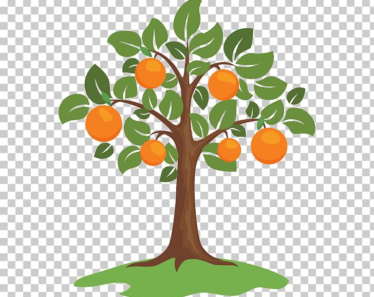 Graphics Illustration Tree PNG, Clipart, Artwork, Branch, Citrus Sinensis, Drawing, Flowerpot Free PNG Download