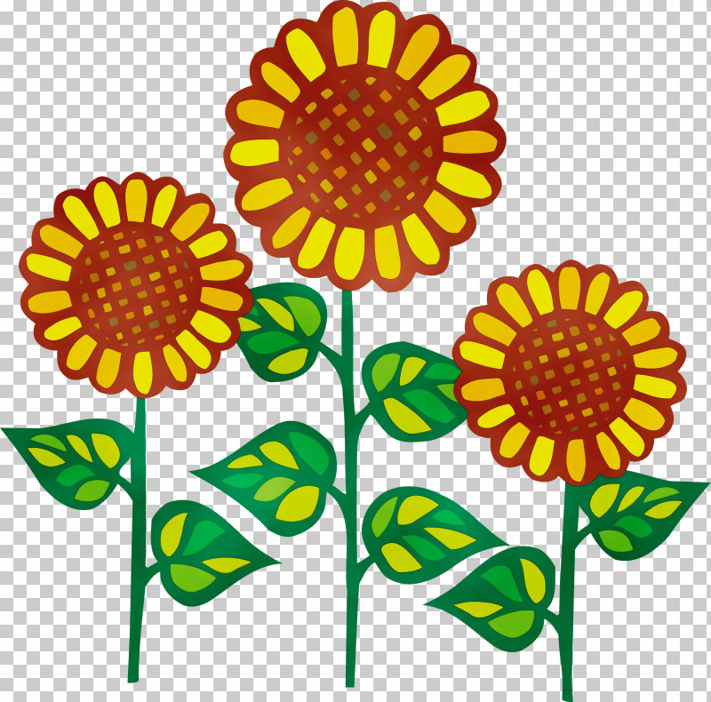 Sunflower PNG, Clipart, Cartoon, Cut Flowers, Flower, Paint, Plant Free PNG Download