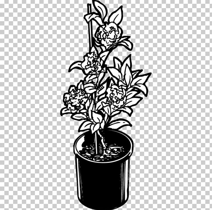 Flowerpot Flowering Plant Font Black PNG, Clipart, Black, Black And White, Camellia Sasanqua, Flora, Flower Free PNG Download