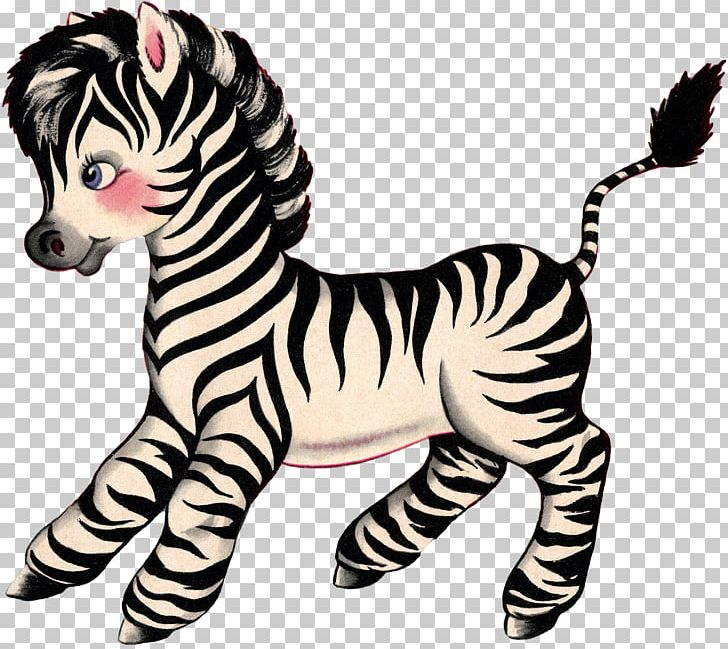 Quagga Baby Zebras Infant Cuteness PNG, Clipart, Baby, Cute, Cuteness, Infant, Quagga Free PNG Download