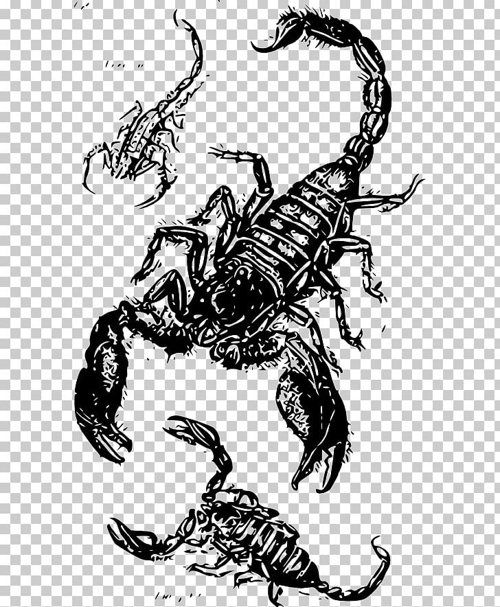Scorpion Drawing PNG, Clipart, Art, Arthropod, Black And White, Black Scorpion, Clip Free PNG Download