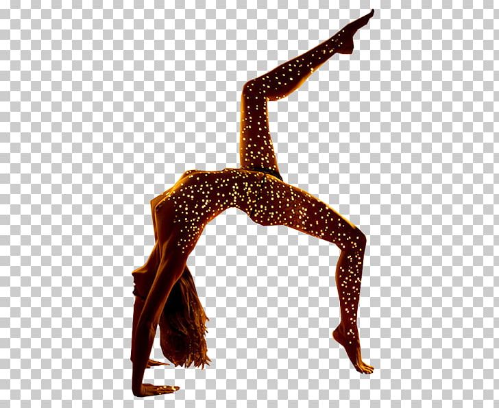 Artist Dancer PNG, Clipart, Art, Artist, Arts, Ballet, Ballet Dancer Free PNG Download