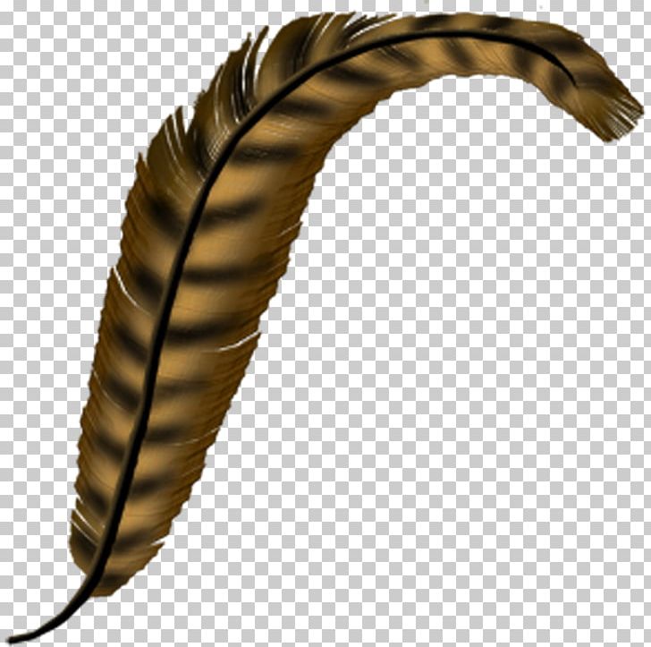 Feather Letter Quill Pheasant PNG, Clipart, Alphabet, Animals, Brown, English, Feather Free PNG Download