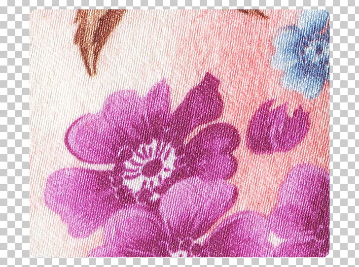 Lavender Lilac Violet Magenta Purple PNG, Clipart, Family, Flower, Lavender, Lilac, Magenta Free PNG Download