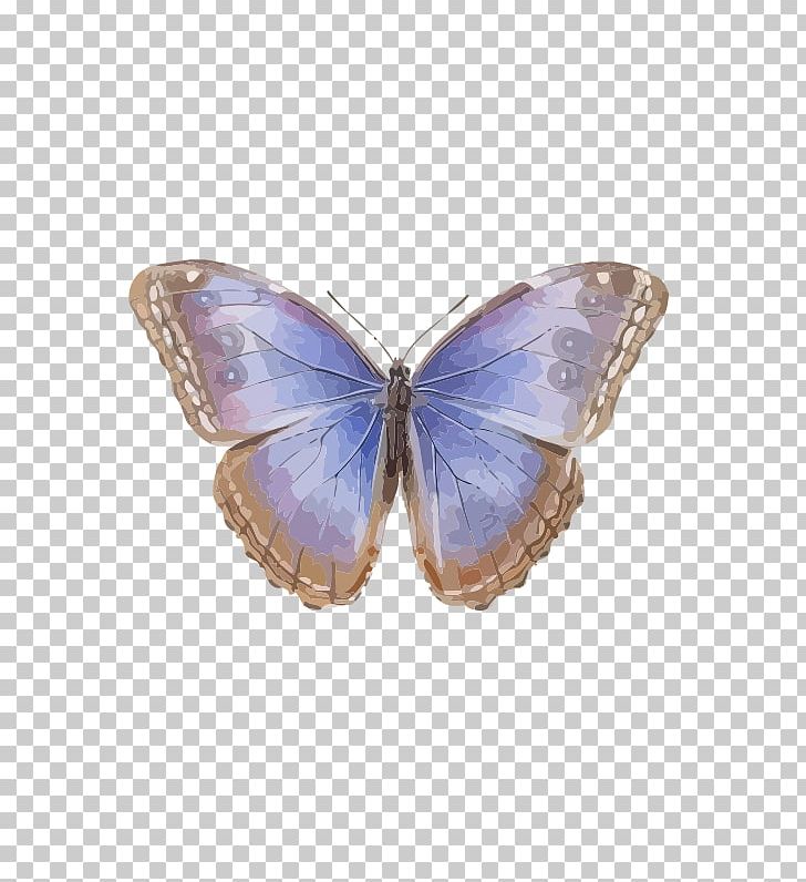 Brush-footed Butterflies Butterfly Common Blue Morpho Menelaus Blue Morpho PNG, Clipart, Blue, Brush Footed Butterflies, Brush Footed Butterfly, Butterflies And Moths, Butterfly Free PNG Download