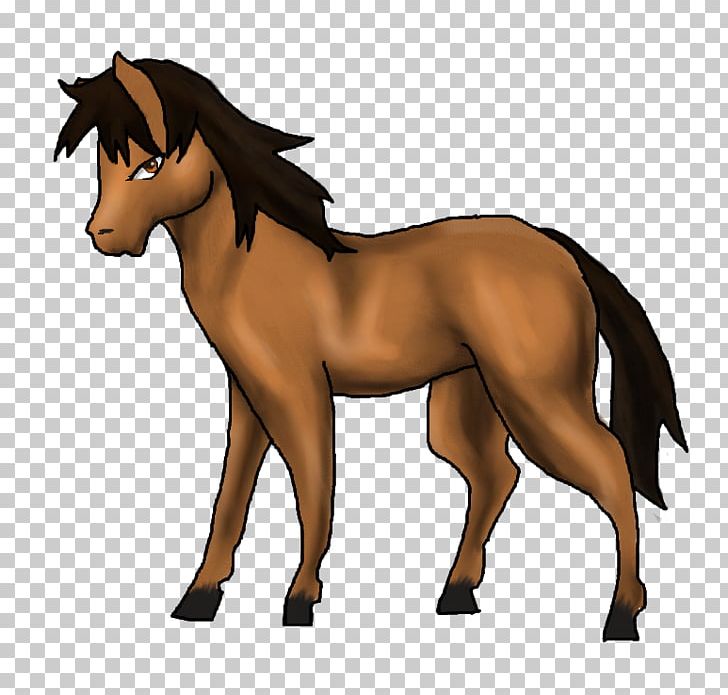 Foal Mane Stallion Mare Pony PNG, Clipart, Belgian Horse, Bridle, Colt, Fictional Character, Foal Free PNG Download
